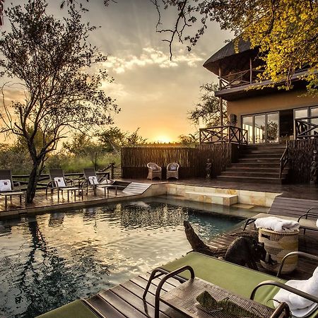 Naledi Bushlodge Balule Game Reserve Esterno foto
