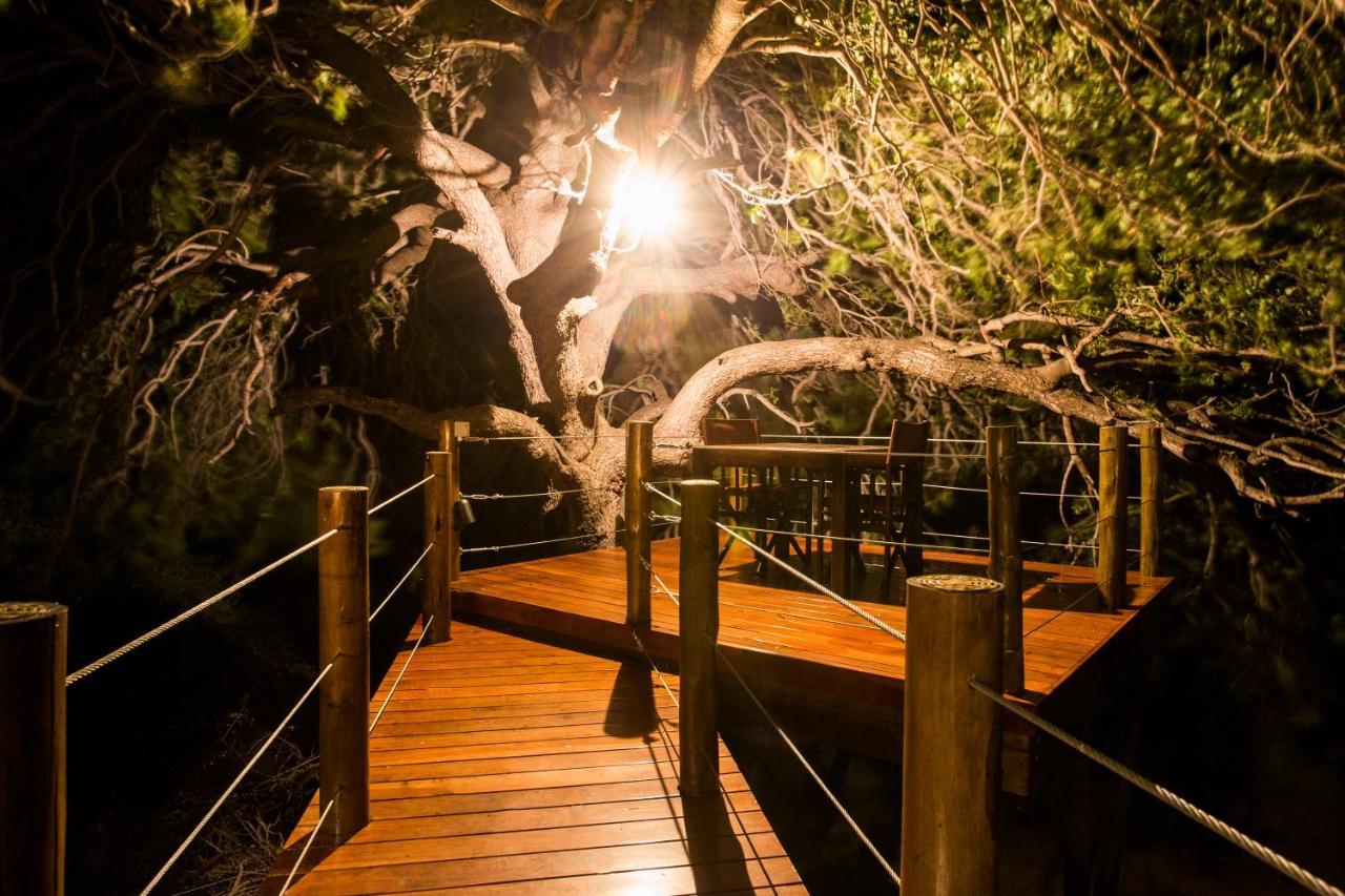 Naledi Bushlodge Balule Game Reserve Esterno foto